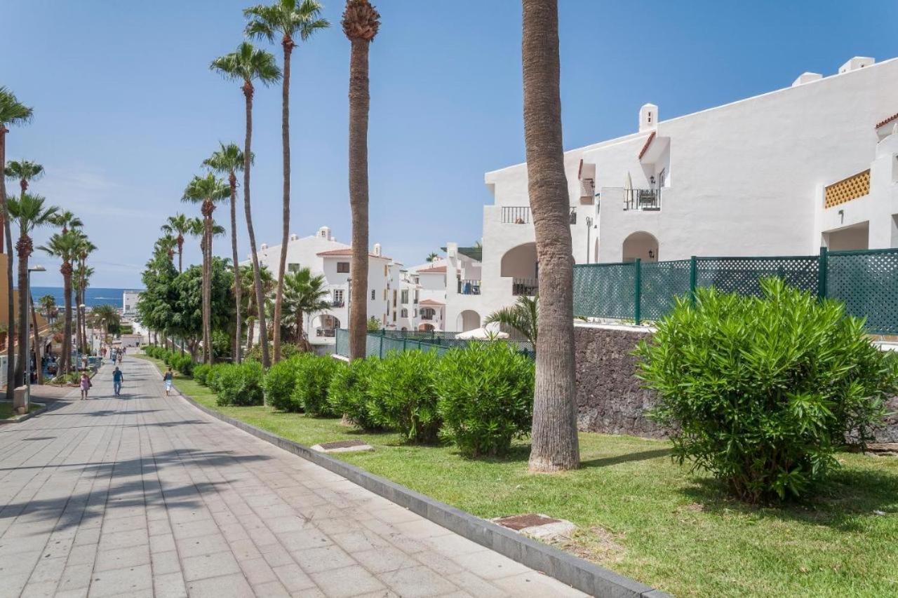 Buenavista Torviscas Beach أذيخي المظهر الخارجي الصورة