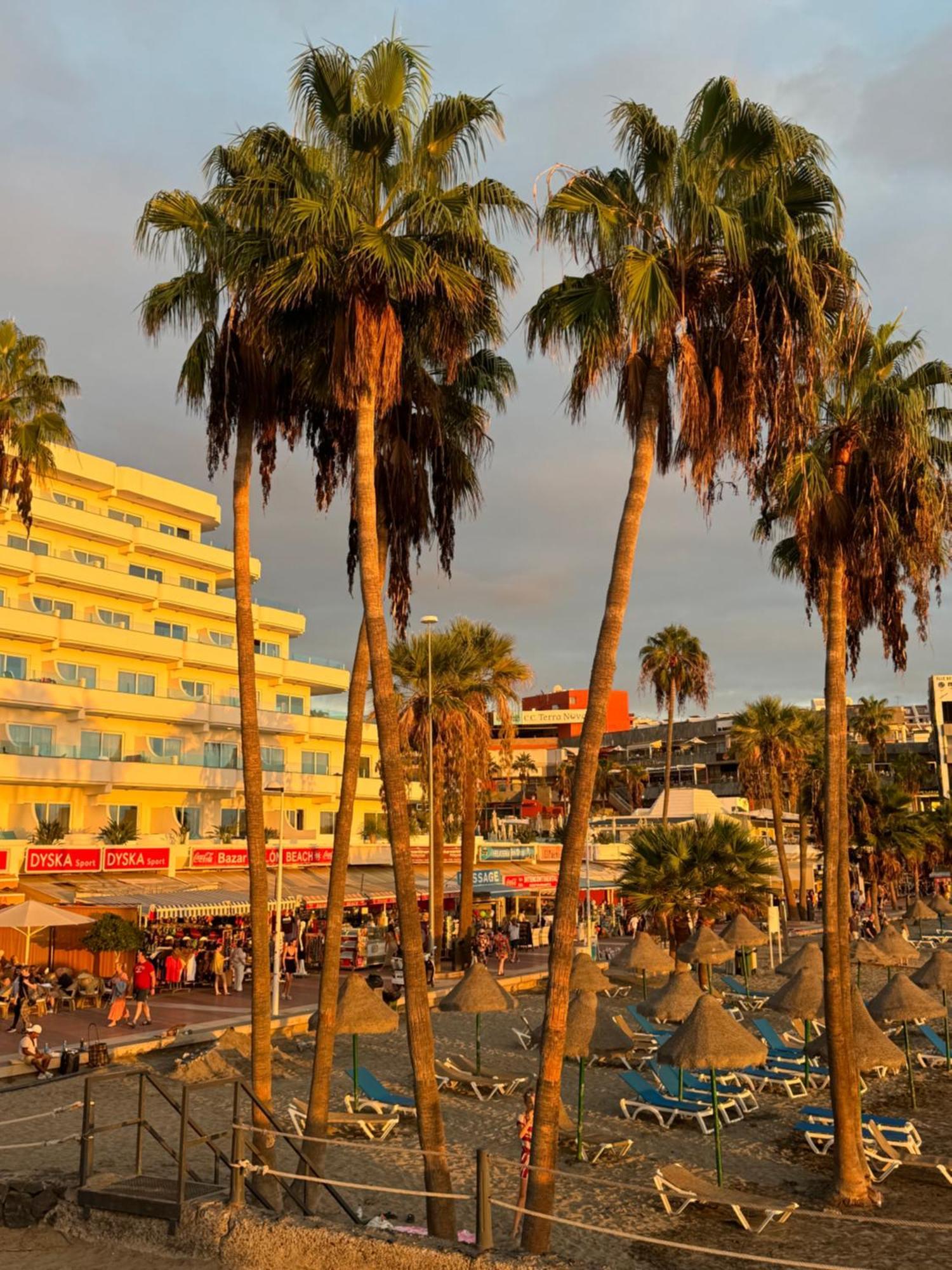 Buenavista Torviscas Beach أذيخي المظهر الخارجي الصورة